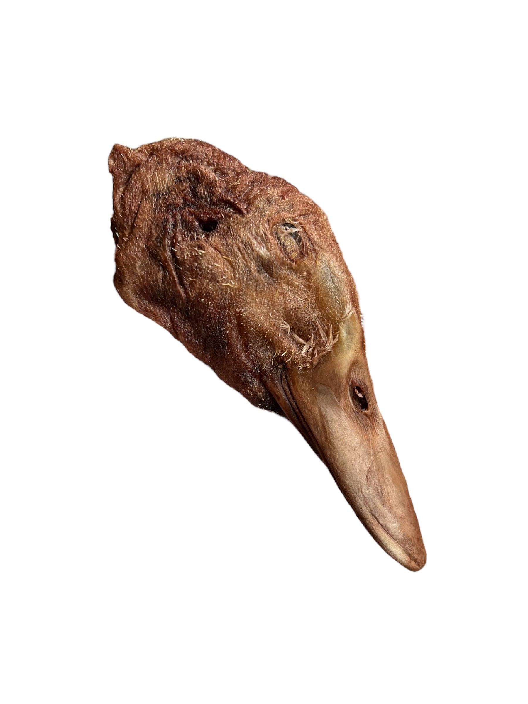 Freeze Dried Duck Heads